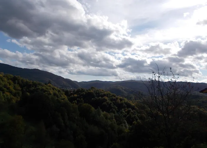 Apartmavid アパート